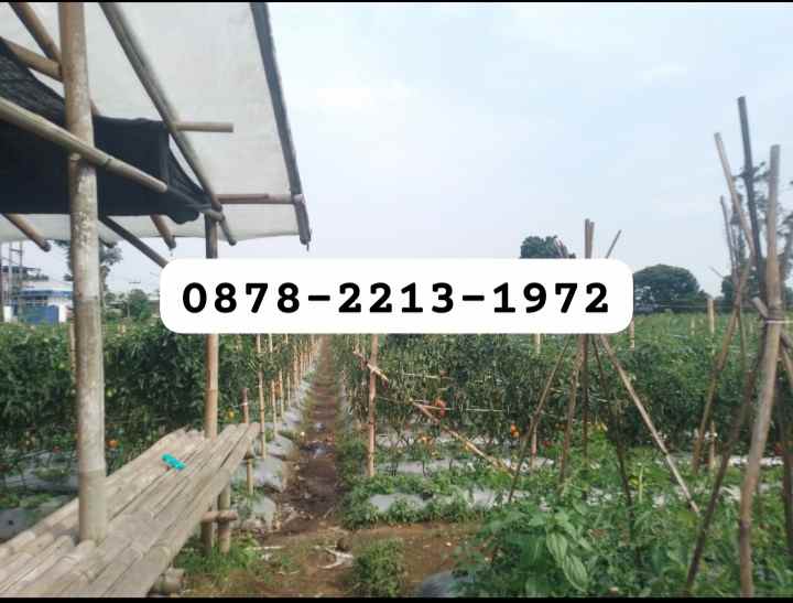 dijual tanah kol masturi lembang bandung
