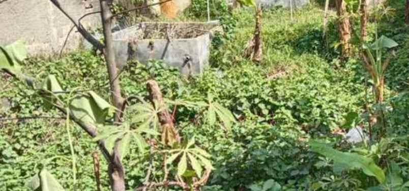 dijual tanah kp nyalindung gg sahabat