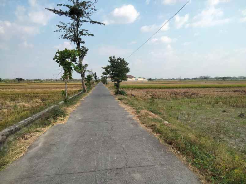 dijual tanah lemah abang dibal kec