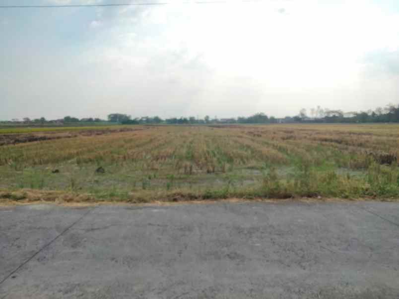 dijual tanah lemah abang dibal kec