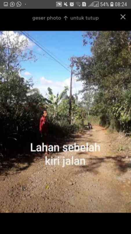 dijual tanah lembur sawah cijeruk desa