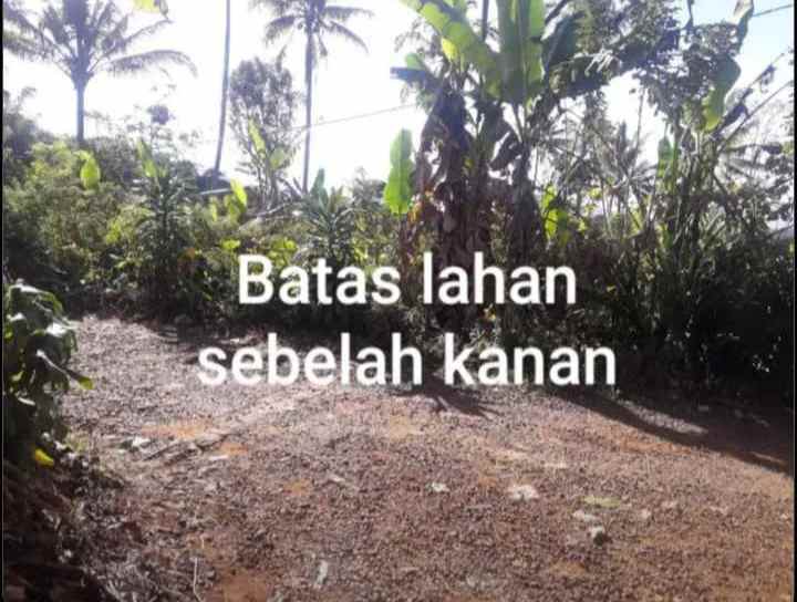 dijual tanah lembur sawah cijeruk desa
