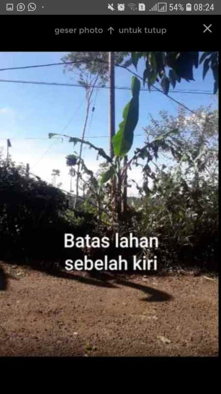 dijual tanah lembur sawah cijeruk desa