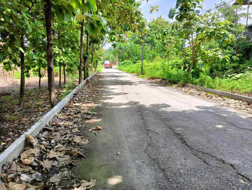 dijual tanah meteseh rowosari