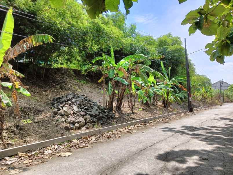 dijual tanah meteseh rowosari