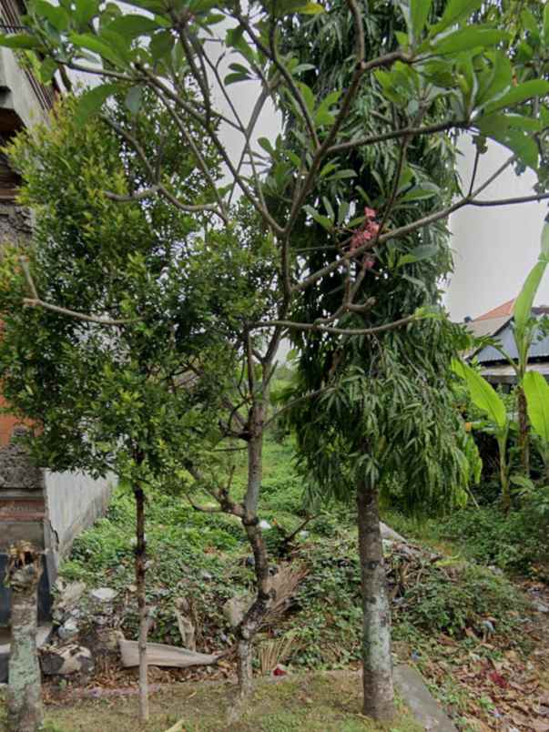 dijual tanah mudutaki gatsu barat