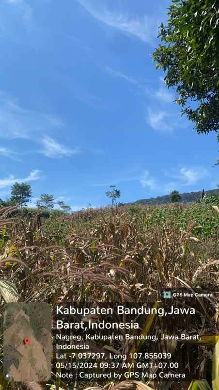 dijual tanah nagreg