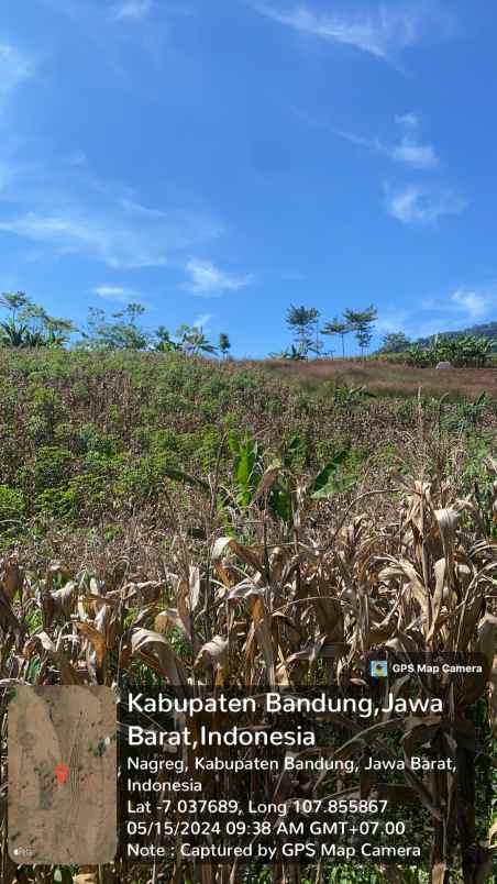 dijual tanah nagreg