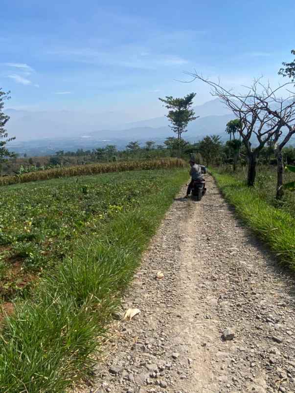 dijual tanah nagreg