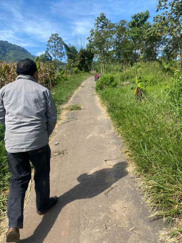 dijual tanah nagreg