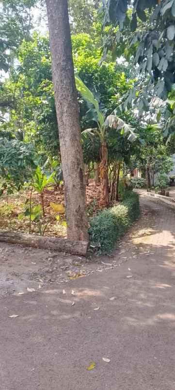 dijual tanah ngijo