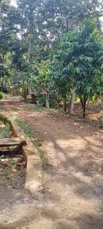 dijual tanah ngijo
