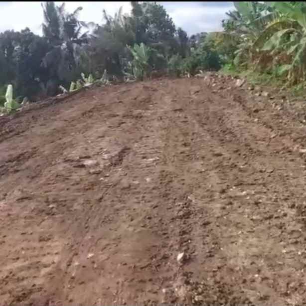 dijual tanah nyitdah