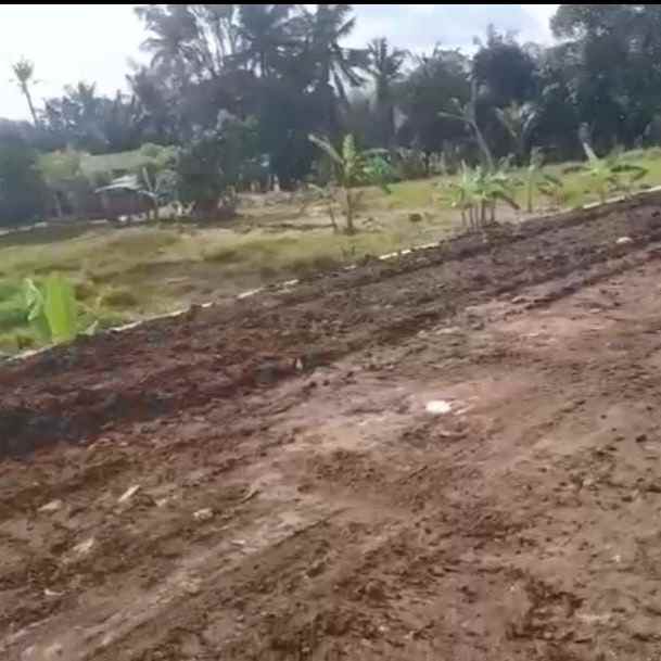 dijual tanah nyitdah