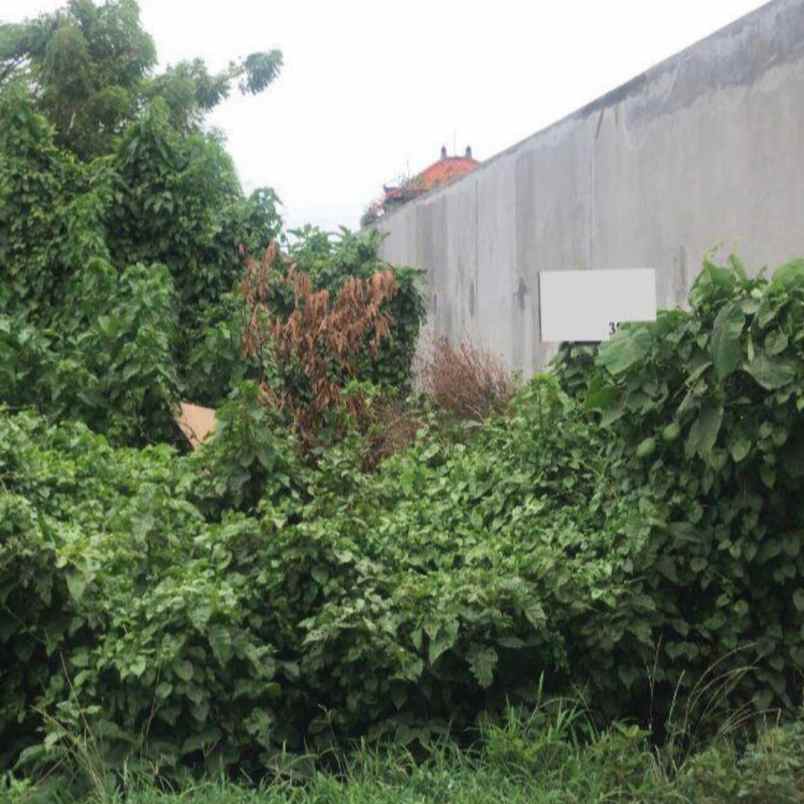 dijual tanah padang griya