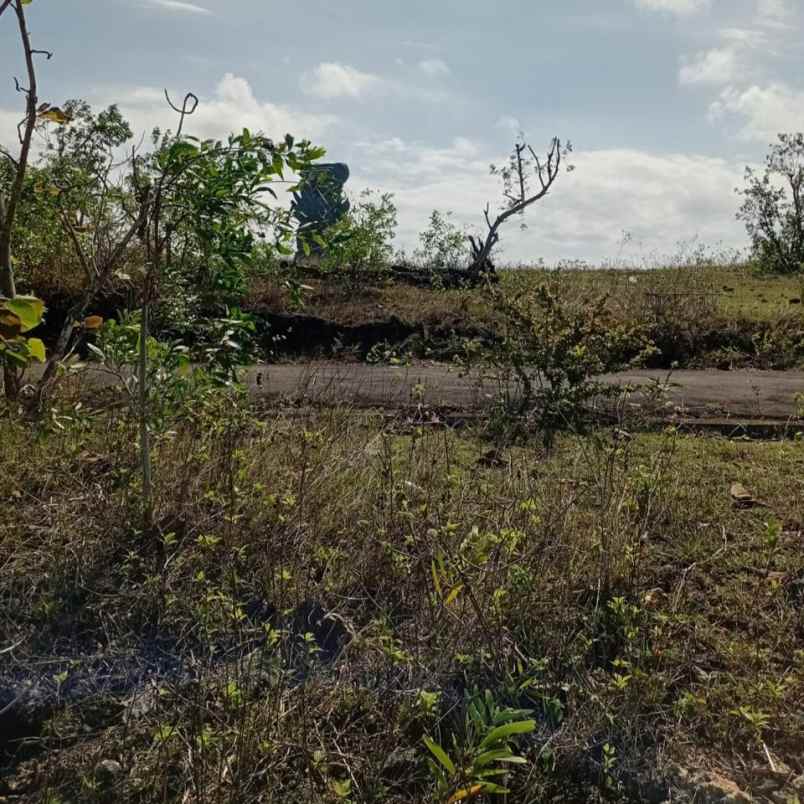 dijual tanah patung gwj