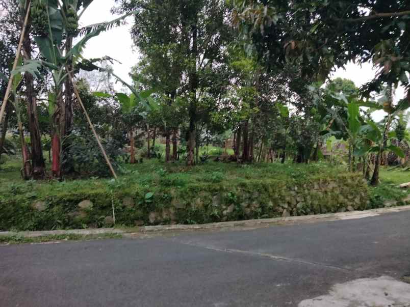dijual tanah pinggir jl di linggarjati kuningan