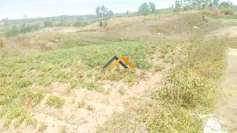 dijual tanah saribu jandi simalungun