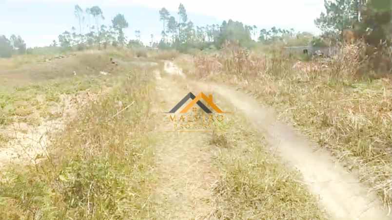 dijual tanah saribu jandi simalungun