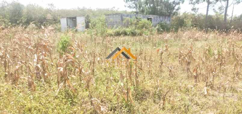 dijual tanah saribu jandi simalungun