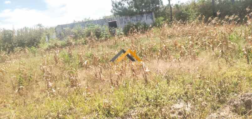 dijual tanah saribu jandi simalungun