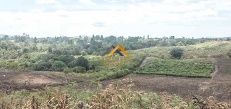 dijual tanah saribu jandi simalungun