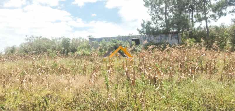 dijual tanah saribu jandi simalungun