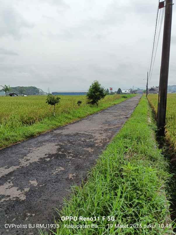 dijual tanah sawah di purwodadi kembaran