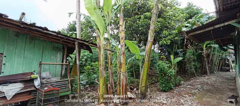 dijual tanah strategis di jalan raya kembaran