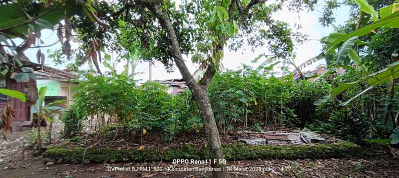 dijual tanah strategis di jalan raya kembaran