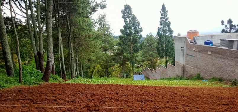 dijual tanah sukanagara