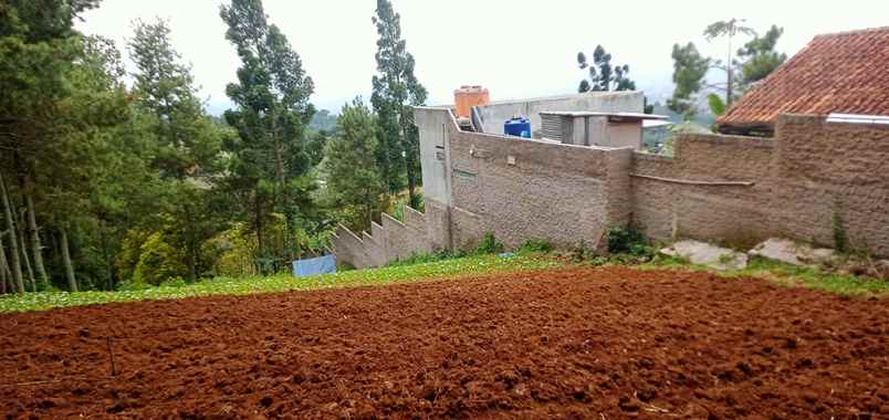 dijual tanah sukanagara