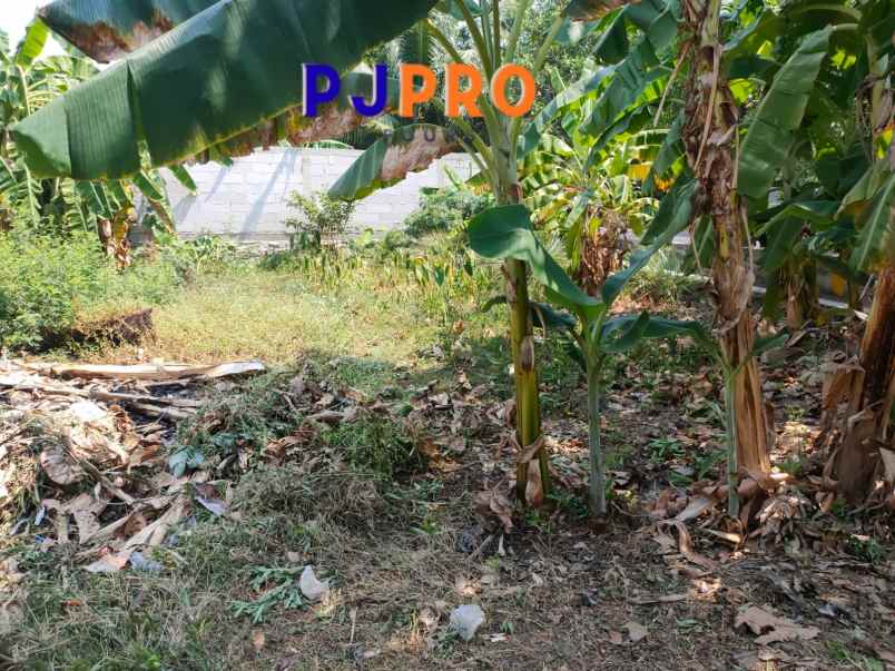 dijual tanah sungai kendal