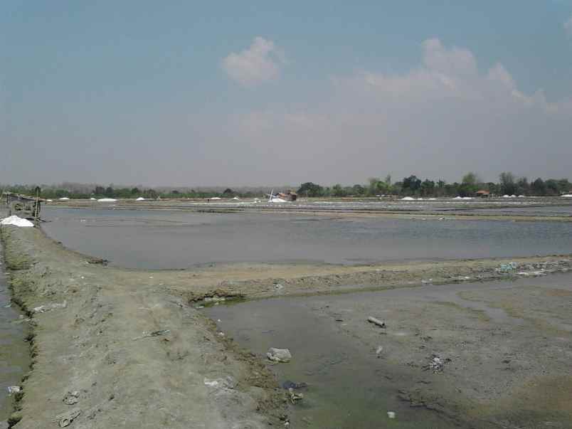 dijual tanah tambak garam strategis