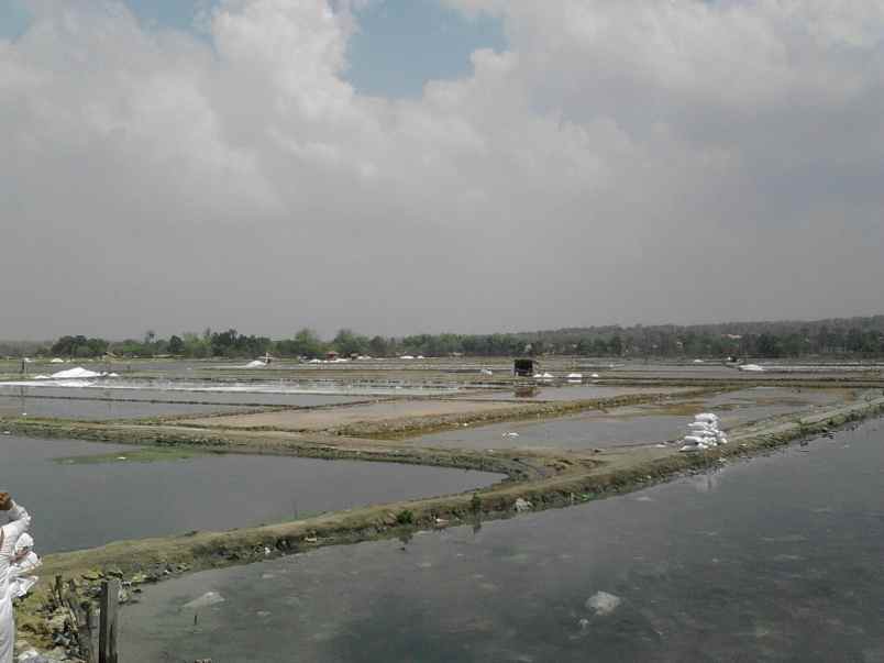 dijual tanah tambak garam strategis