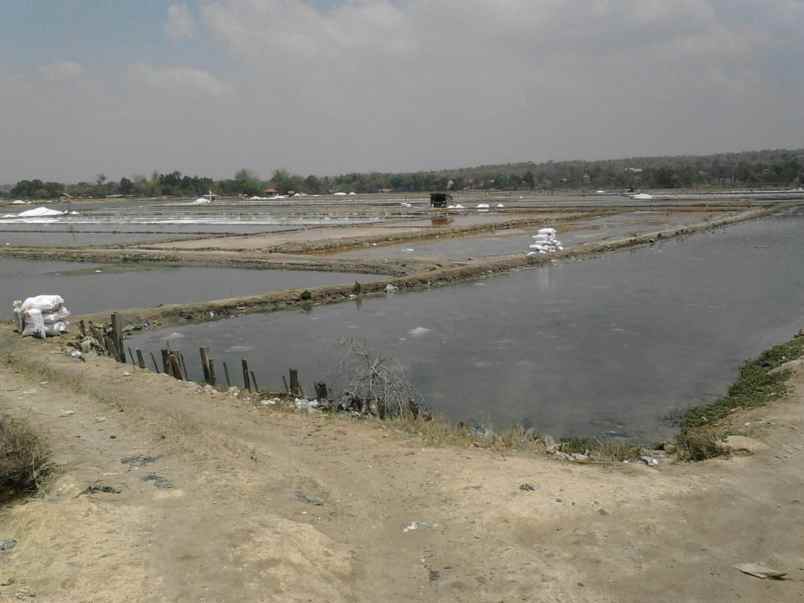 dijual tanah tambak garam strategis