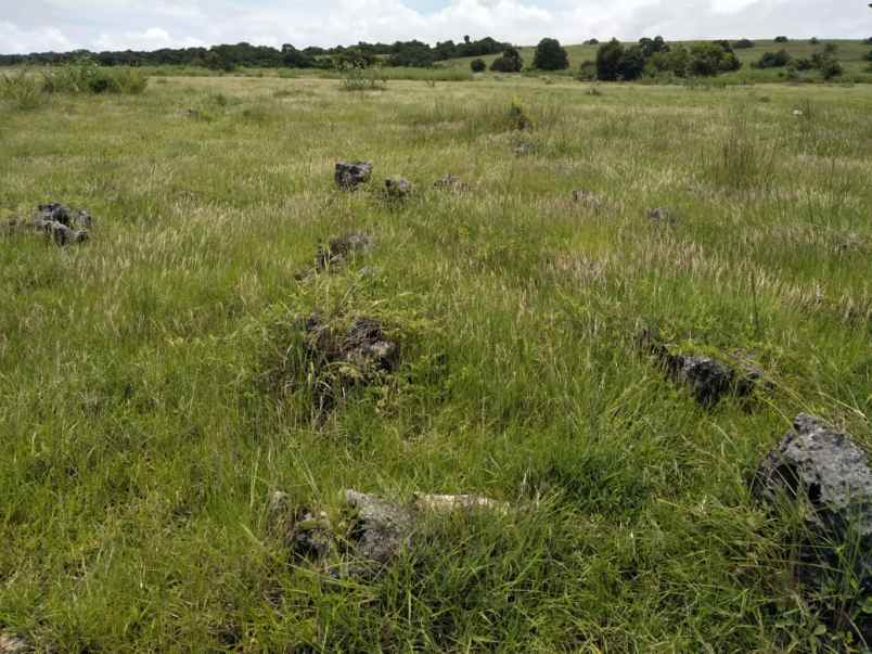 dijual tanah tanah pinggir pantai