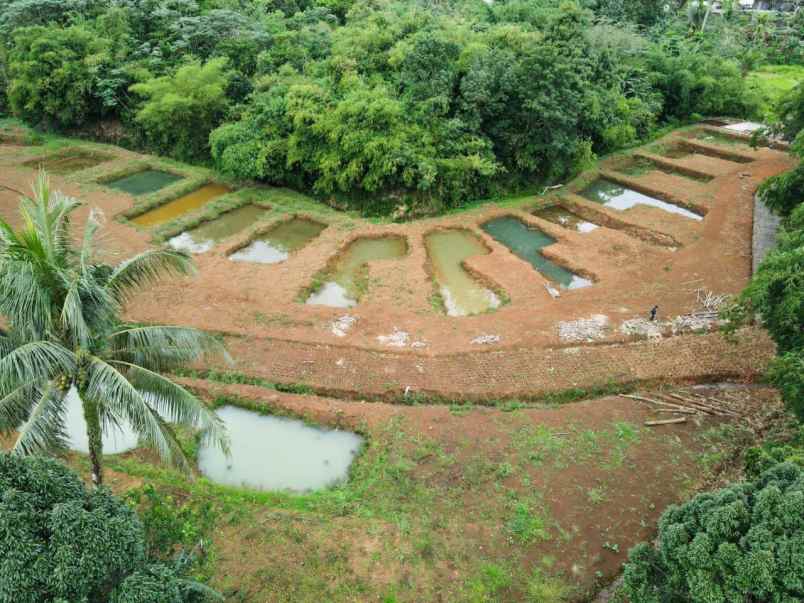 dijual tanah tegal waru