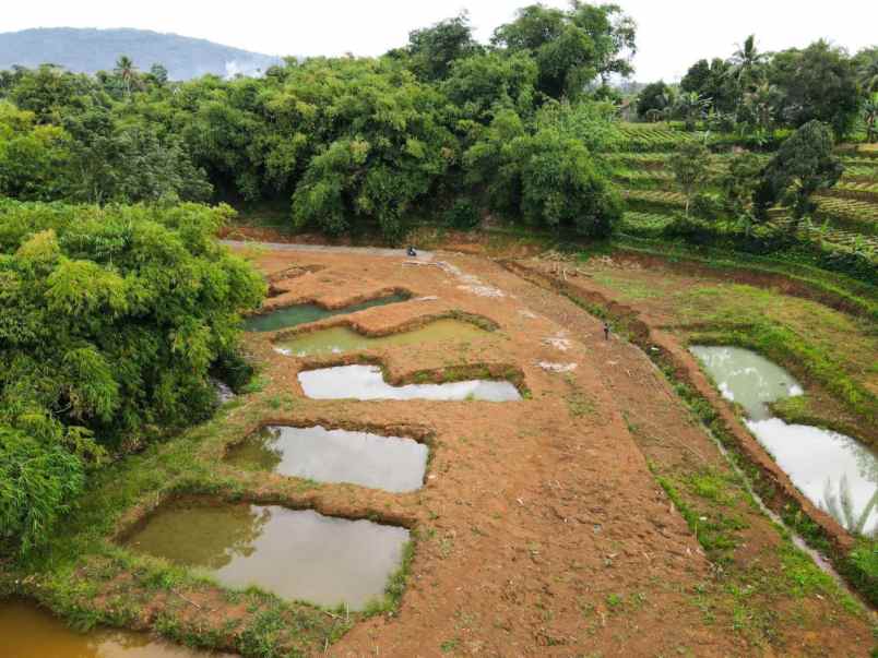 dijual tanah tegal waru