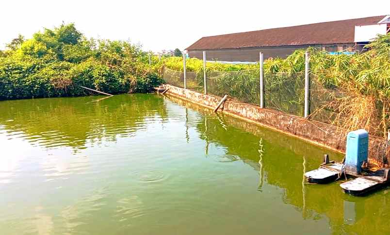 dijual tanah wisata janti klaten