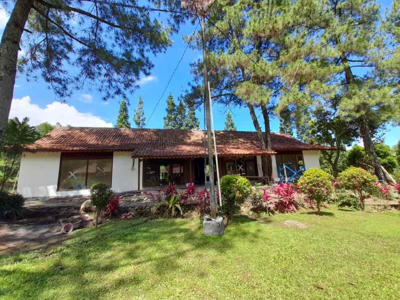 dijual villa jl padat karya