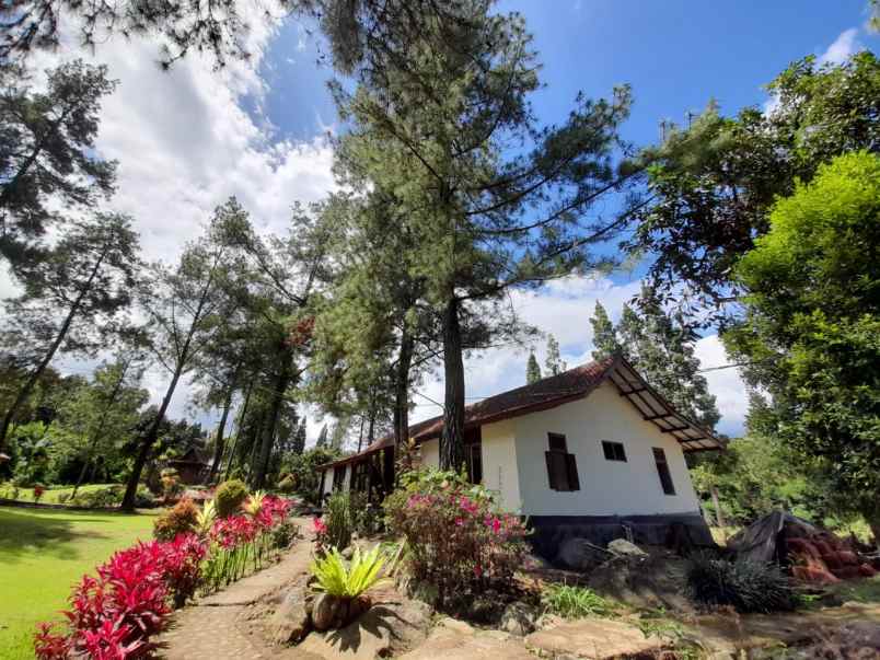 dijual villa jl padat karya