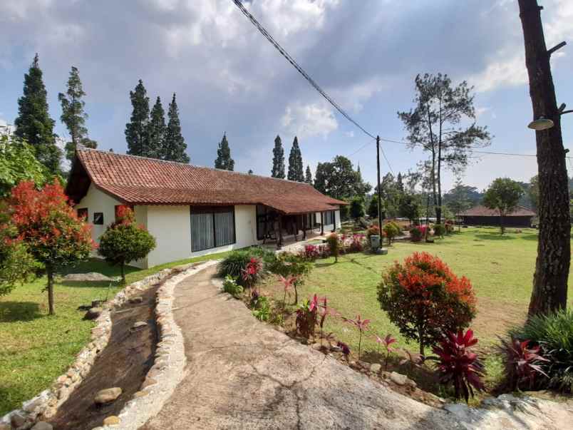 dijual villa jl padat karya