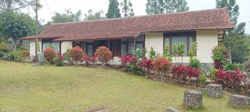 dijual villa jl padat karya
