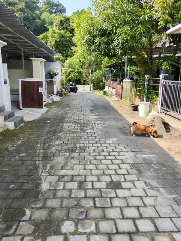 disewakan rumah the royal griya loka