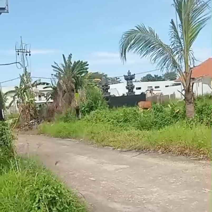 disewakan tanah pantai seseh munggu