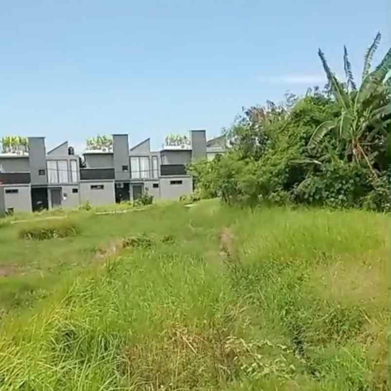 disewakan tanah pantai seseh munggu