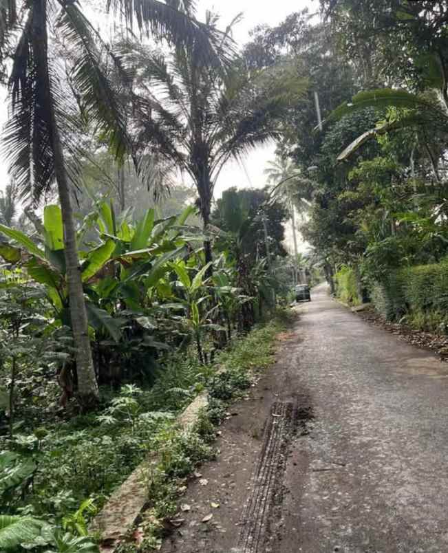 jual murah tanah dekat exit tol salatiga