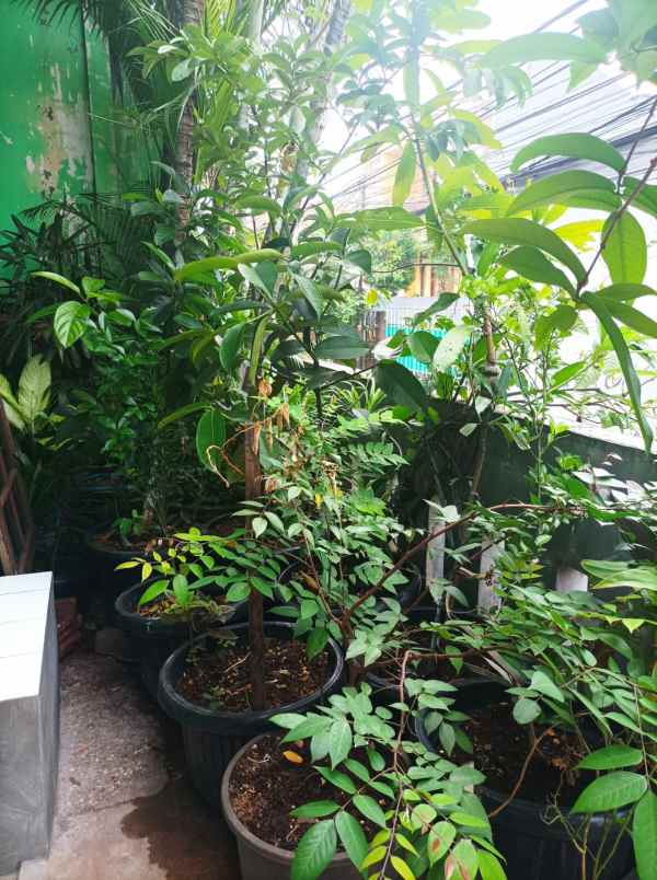 jual rumah hook di area palmerah