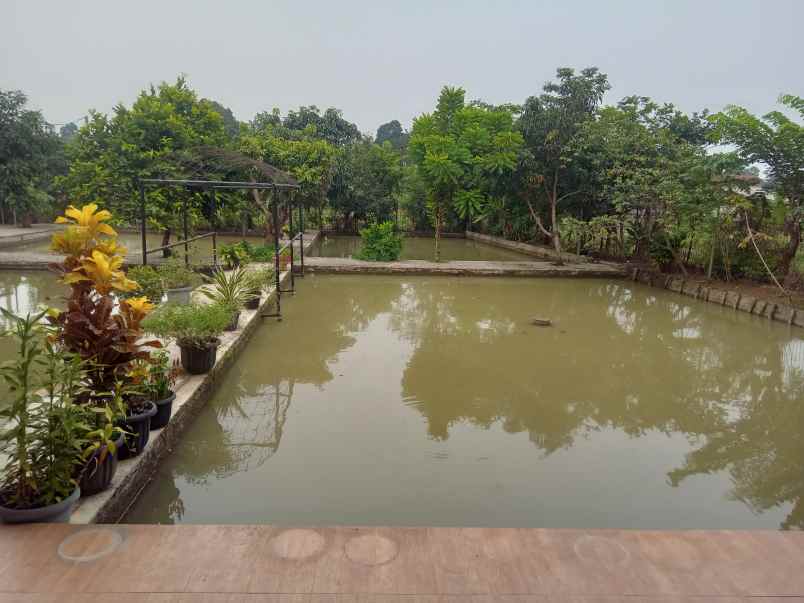 jual rumah mewah dan 11 kolam ikan di kabupaten bogor